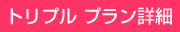 トリプル　プラン詳細