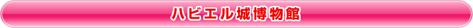 ハビエル城博物館