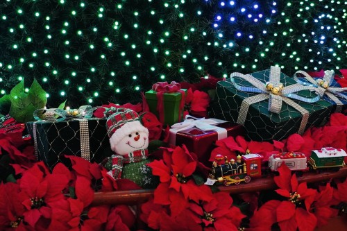 20251122ツリー②