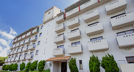 シーズンインアミーゴズ