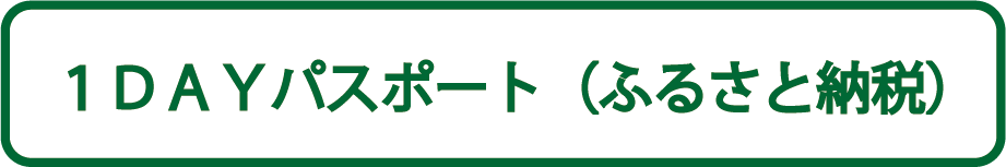 1DAYパスポート (ふるさと納税)