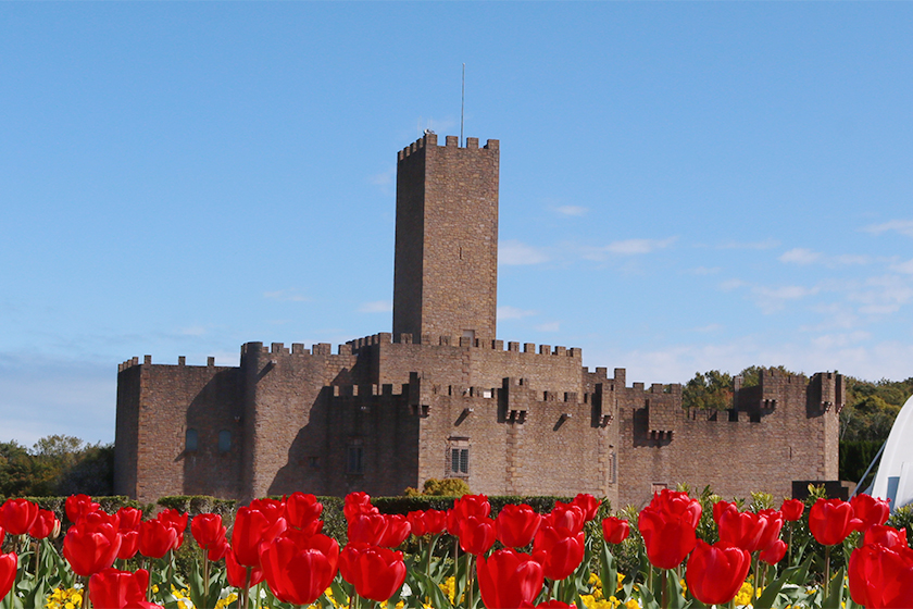 ハビエル城博物館イメージ