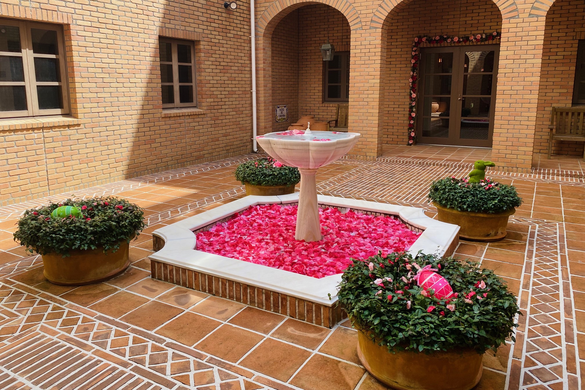 パティオ祭りイメージ2