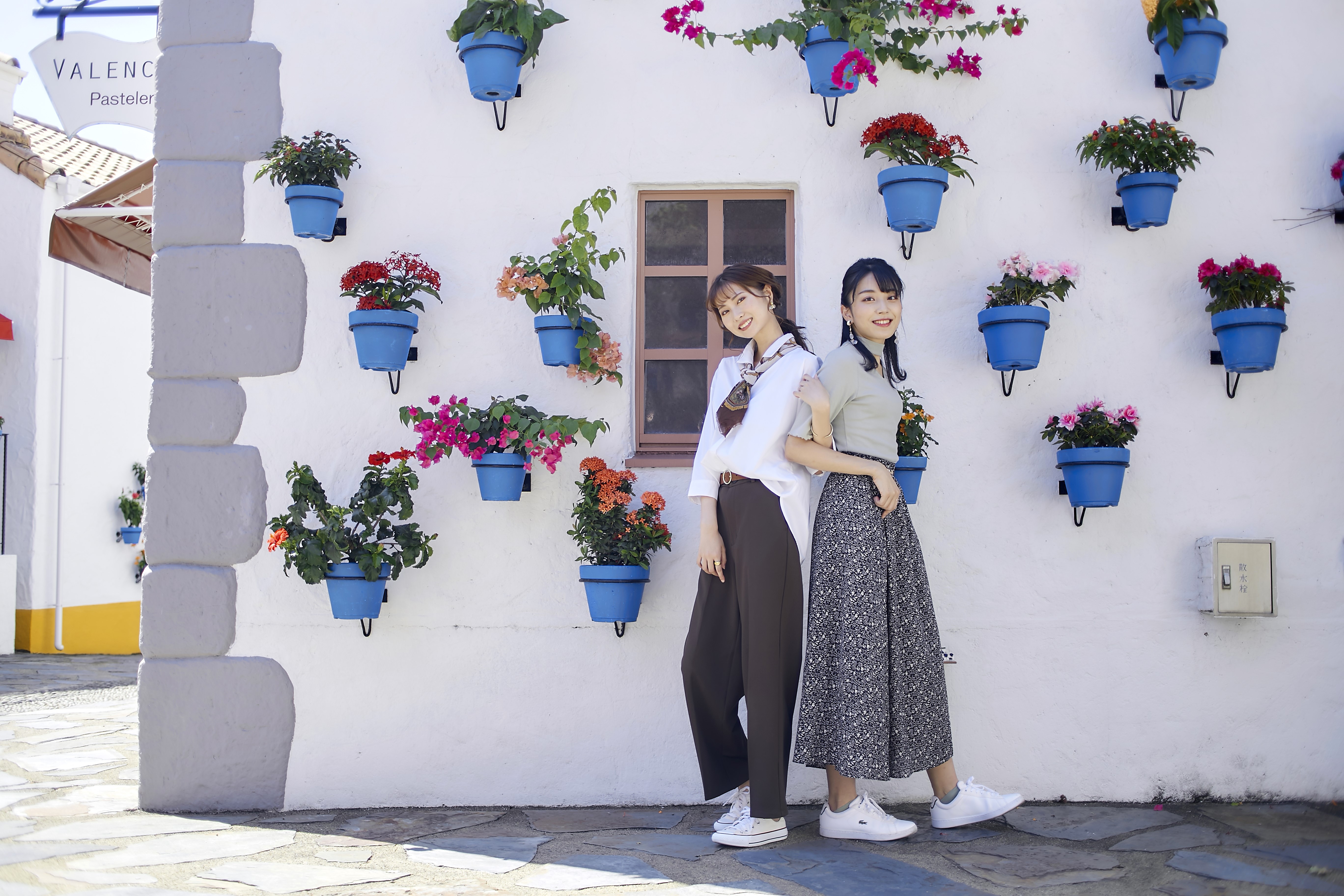 パティオ祭りイメージ3