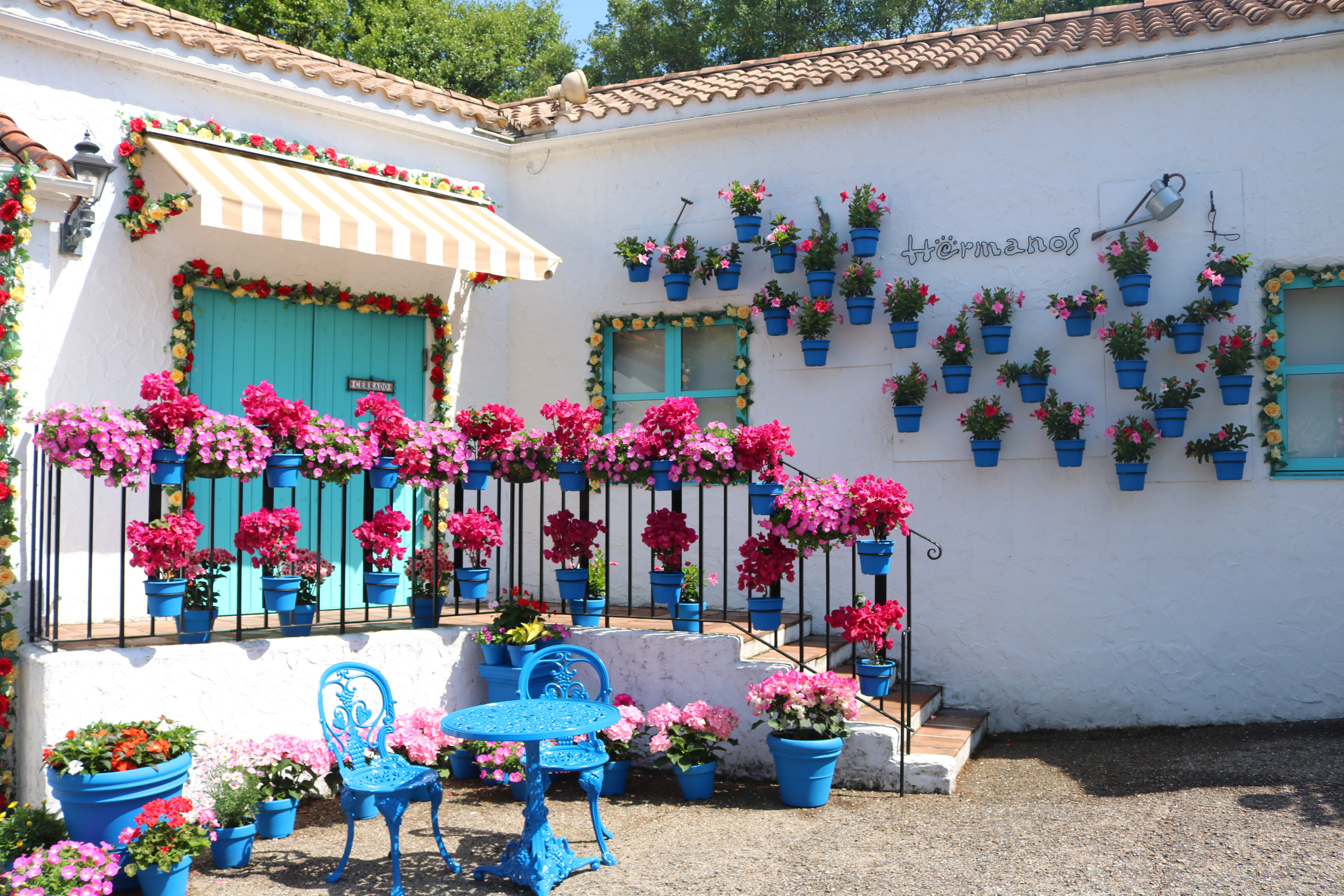 パティオ祭りイメージ5