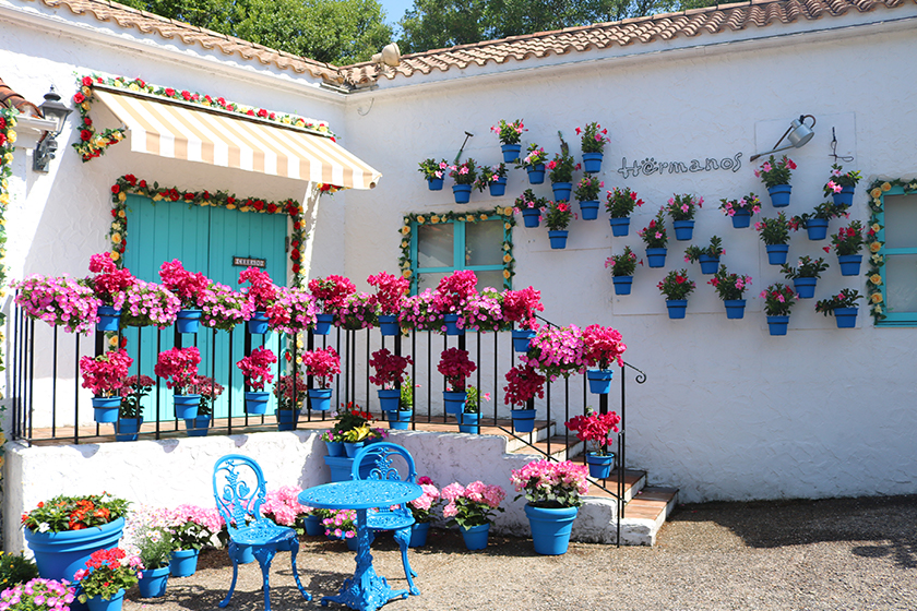 サンタクルス 花のパティオ祭り