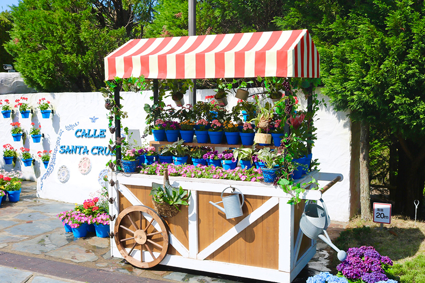 サンタクルス 花のパティオ祭り