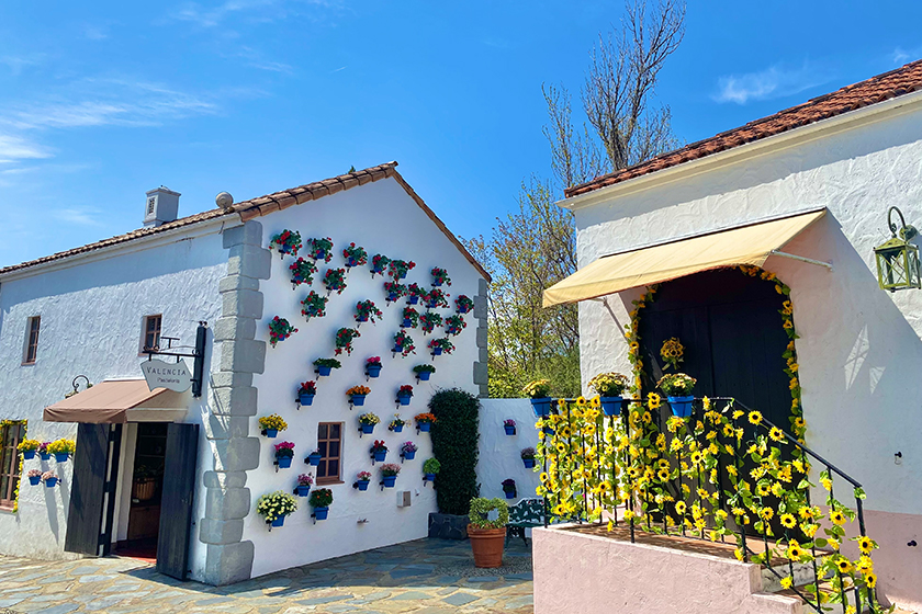 サンタクルス 花のパティオ祭り