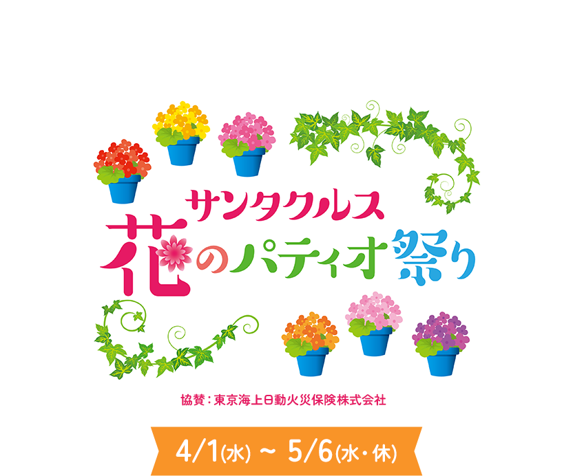 サンタクルス 花のパティオ祭り
